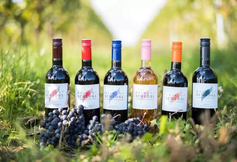 酒店 Pension Schlögl