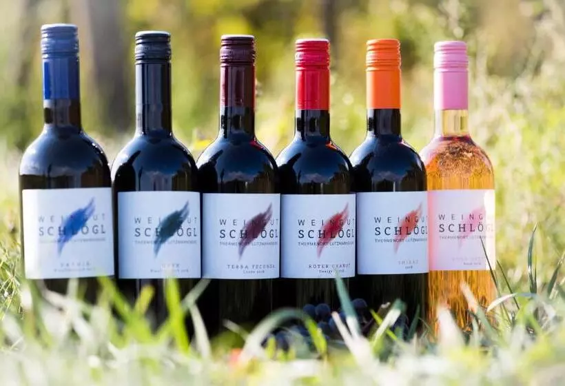 酒店 Pension Schlögl