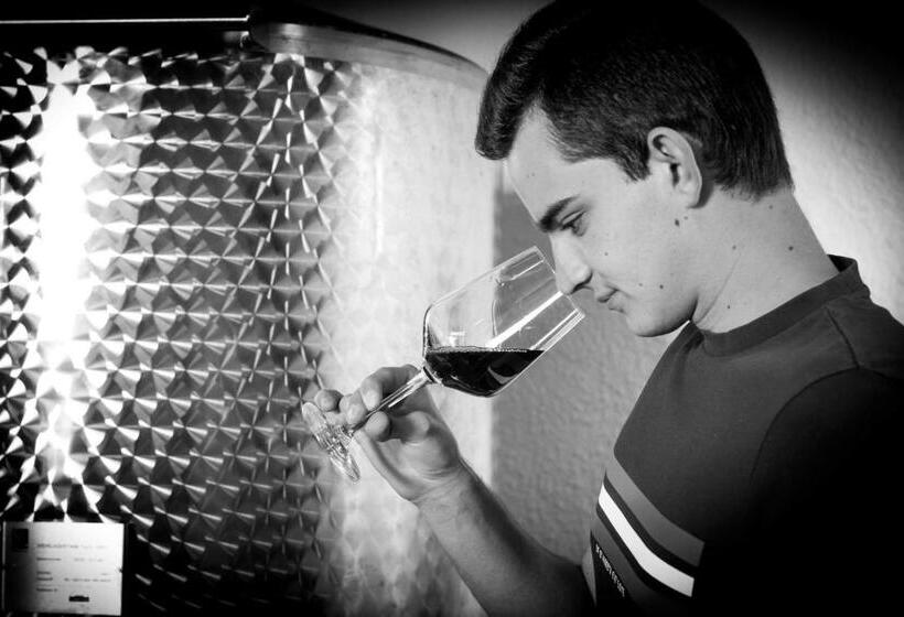 Отель Pension Schlögl