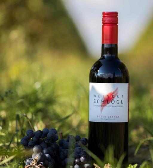 Отель Pension Schlögl