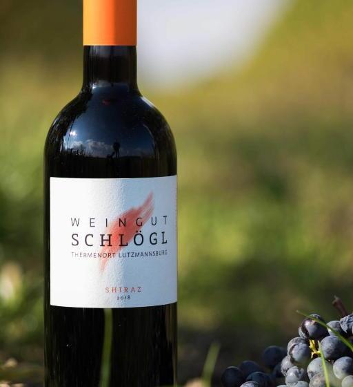 Отель Pension Schlögl