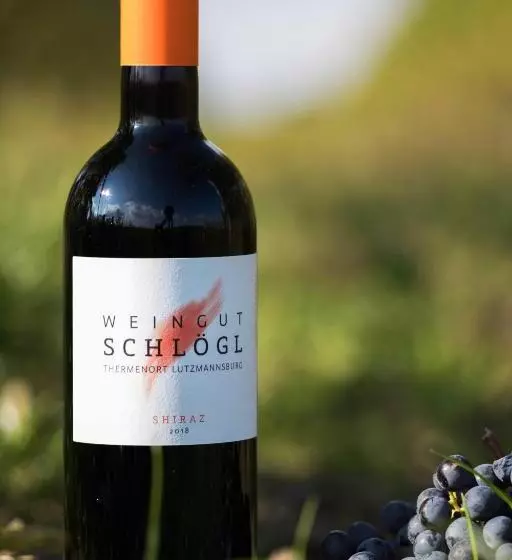 酒店 Pension Schlögl