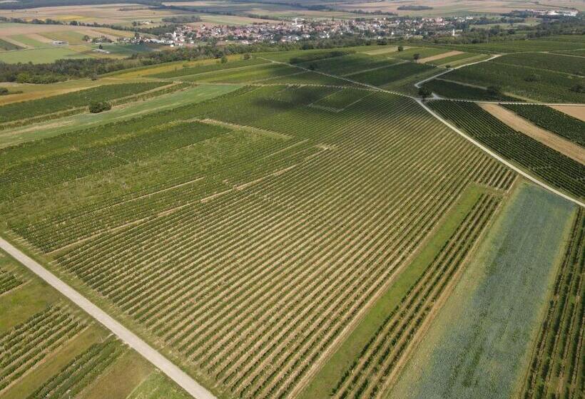 Отель Pension Schlögl