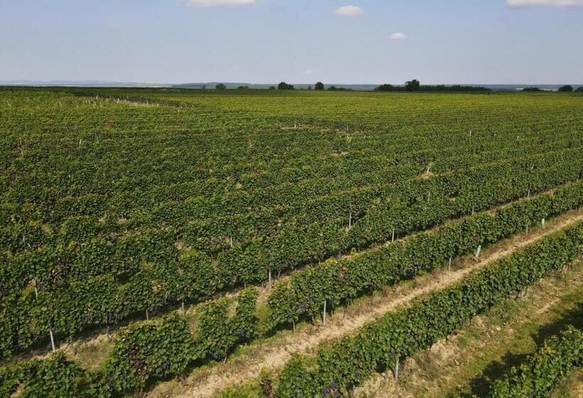 Отель Pension Schlögl