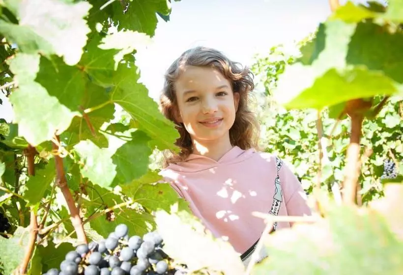 酒店 Pension Schlögl