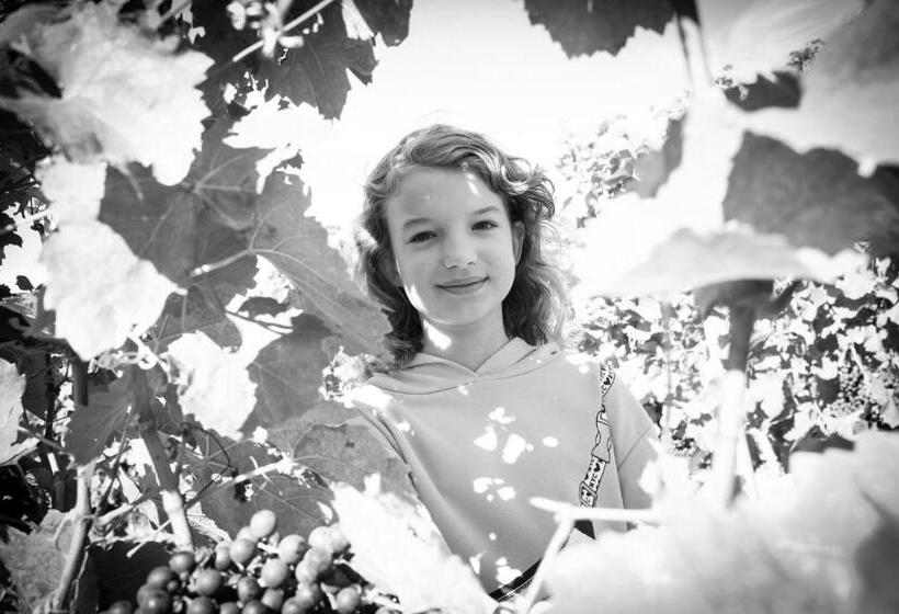 Отель Pension Schlögl