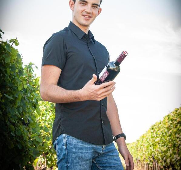 Отель Pension Schlögl