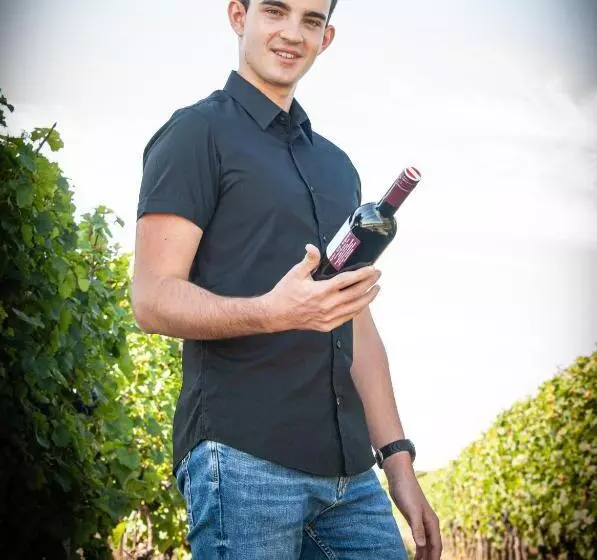 酒店 Pension Schlögl