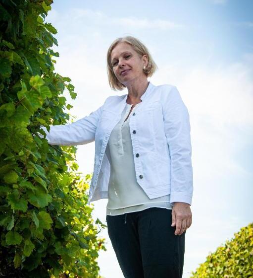 Отель Pension Schlögl