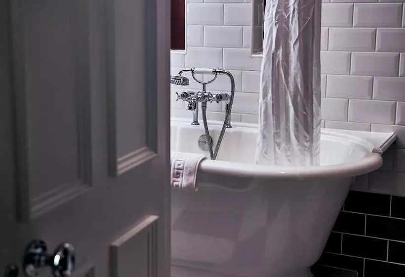 Отель The Brown S