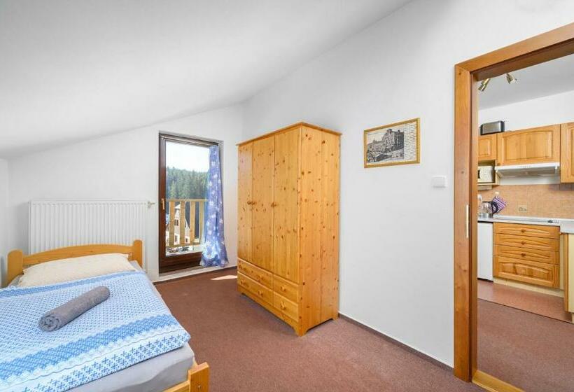 Penzion Petra, Harrachov