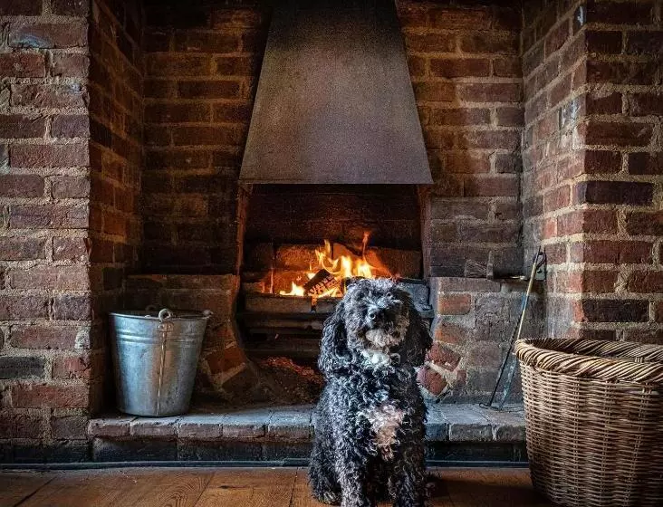 Retkeilymaja The Cricketers Clavering