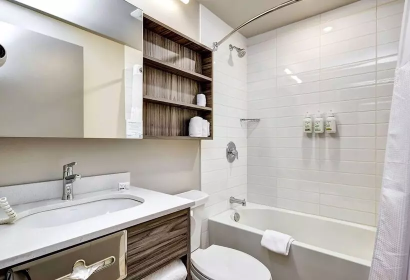 Microtel Inn & Suites By Wyndham Kanata Ottawa West