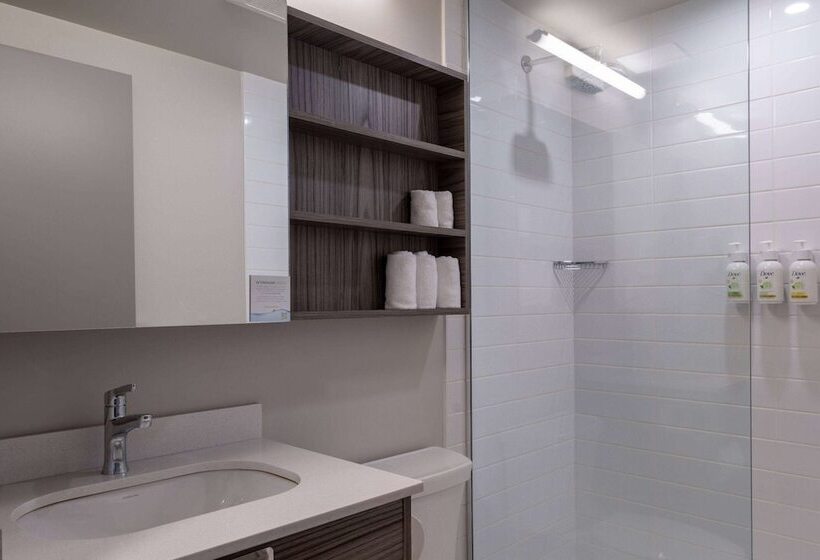 Microtel Inn & Suites By Wyndham Kanata Ottawa West