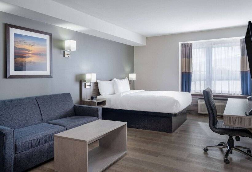 Microtel Inn & Suites By Wyndham Kanata Ottawa West