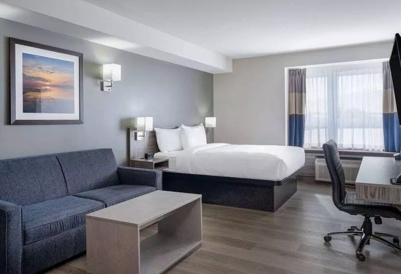 Microtel Inn & Suites By Wyndham Kanata Ottawa West