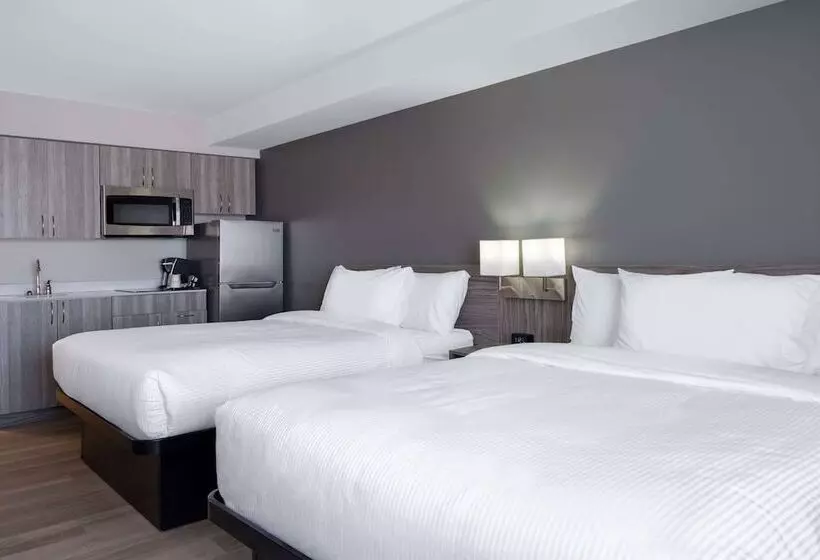 Microtel Inn & Suites By Wyndham Kanata Ottawa West