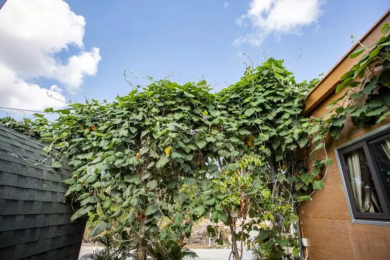 هتل Oyo 952 Linh Dan Bungalow