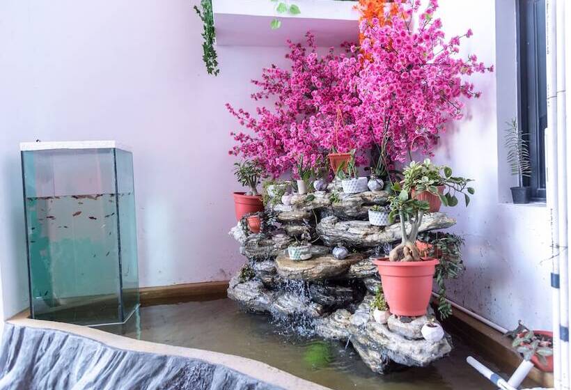 هتل Pauraque Soho