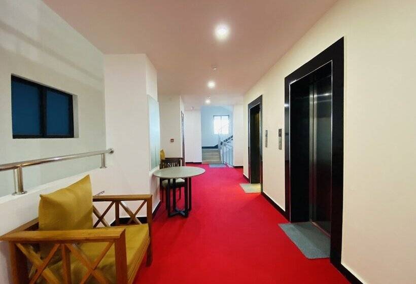 هتل Pauraque Soho