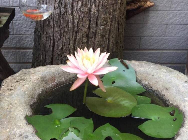 هتل Pu Jhen Homestay