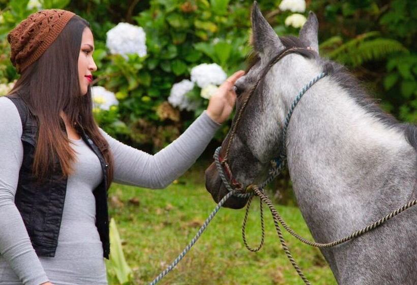 호텔 Lagunillas Del Poas