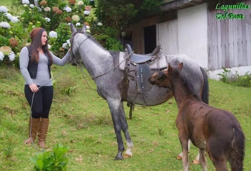 Hotelli Lagunillas Del Poas