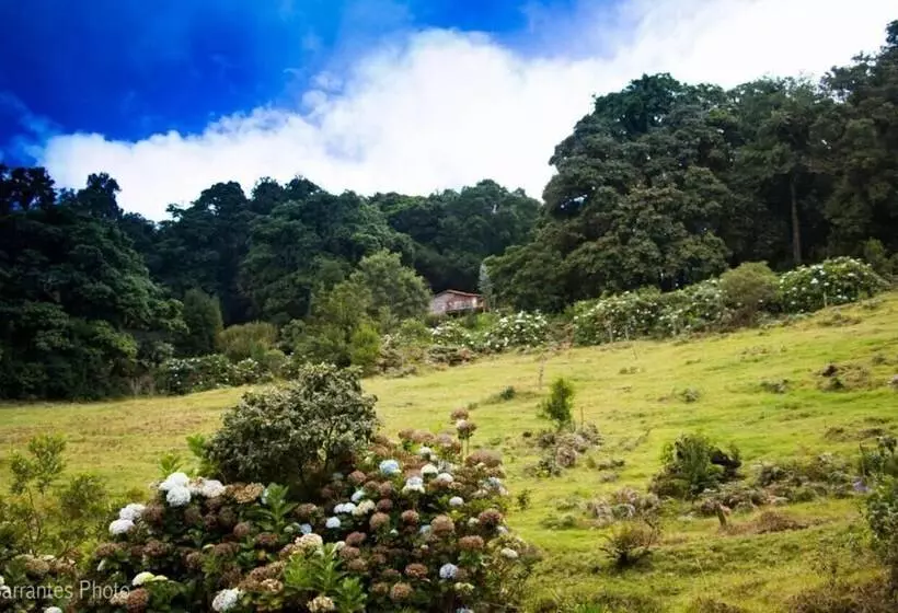 Hotelli Lagunillas Del Poas
