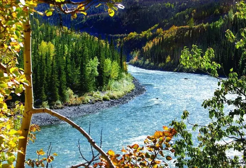 Hotelli Denali Grizzly Bear Resort