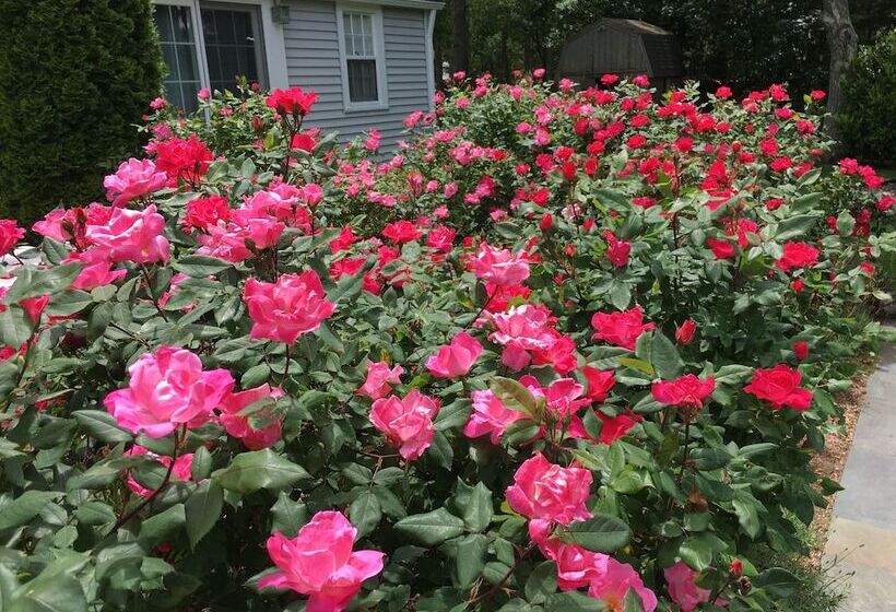 호텔 The Platinum Pebble Boutique Inn Adults Only