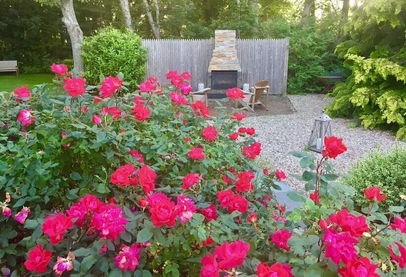 호텔 The Platinum Pebble Boutique Inn Adults Only