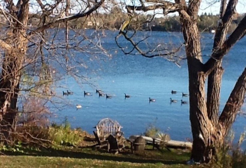 酒店 225 Lakeland Bed And Breakfast