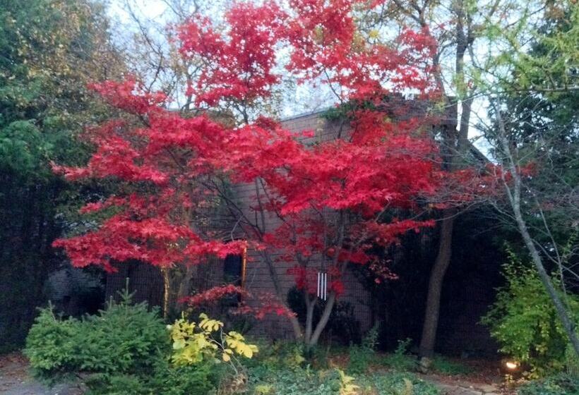 酒店 225 Lakeland Bed And Breakfast