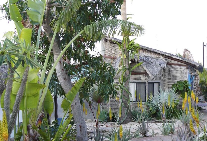 La Bohemia Hotel Pequeno