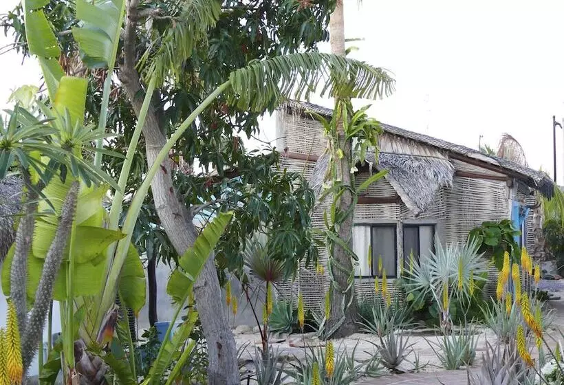 La Bohemia Hotel Pequeno