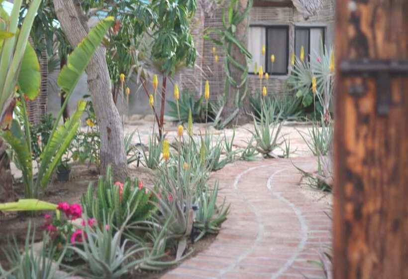 La Bohemia Hotel Pequeno