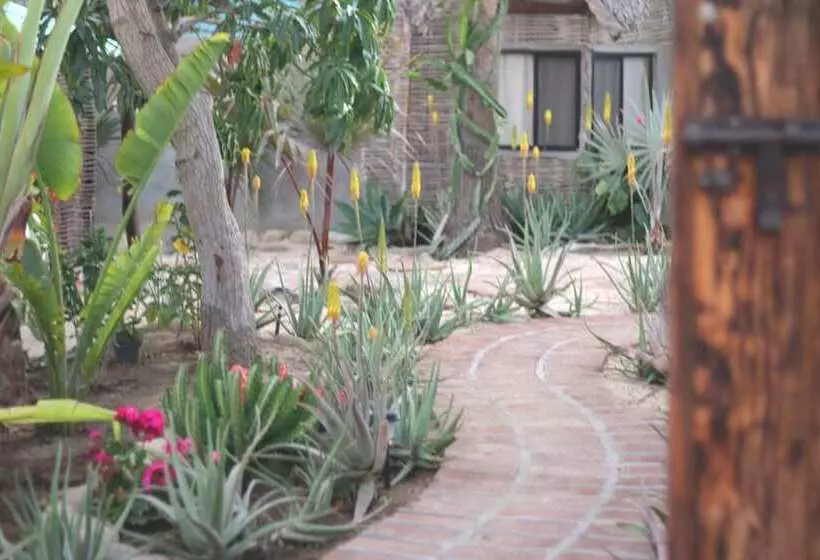 La Bohemia Hotel Pequeno