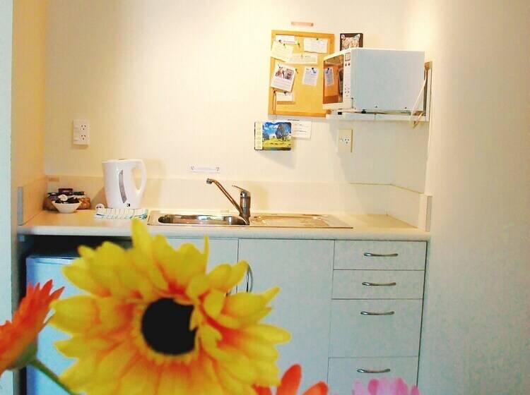 Ann’s Volcanic Motel