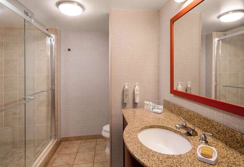 Hampton Inn & Suites Salida