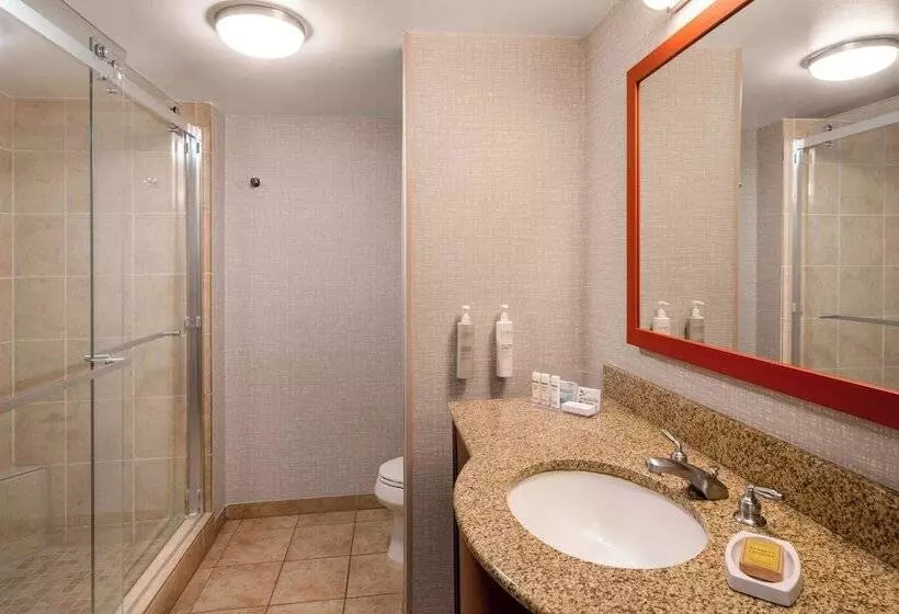 Hampton Inn & Suites Salida