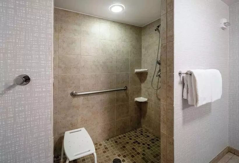 Hampton Inn & Suites Salida