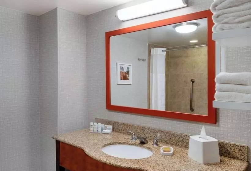 Hampton Inn & Suites Salida