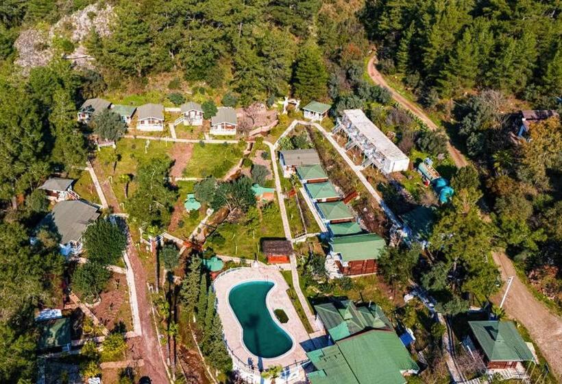 Отель Angels Garden