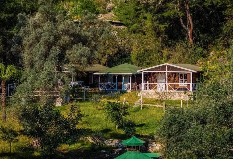 Отель Angels Garden