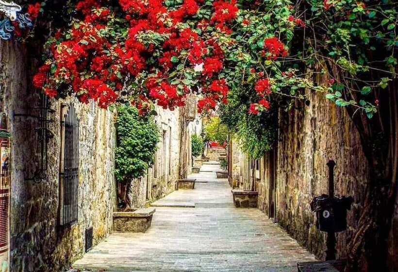 فندق Boutique Casa Madero