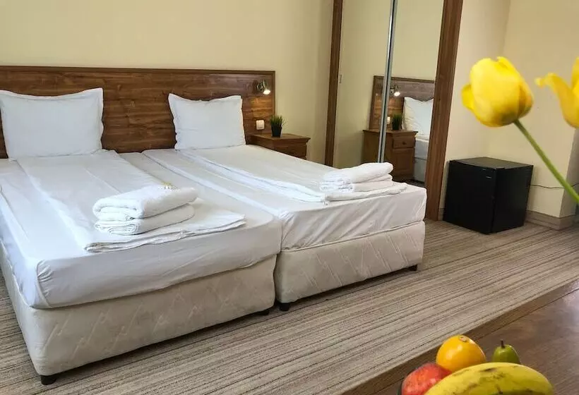 Hotell Chateau Vaptzarov