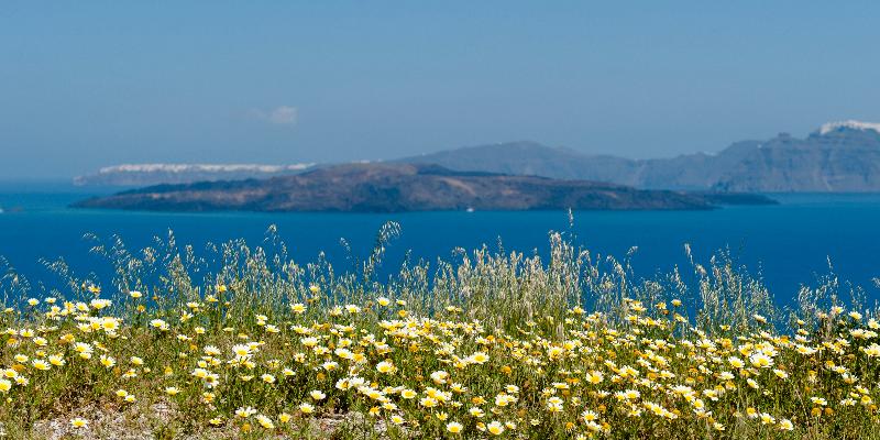 Hotel Earino Suites And Villa