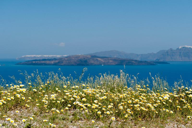 Hotel Earino Suites And Villa