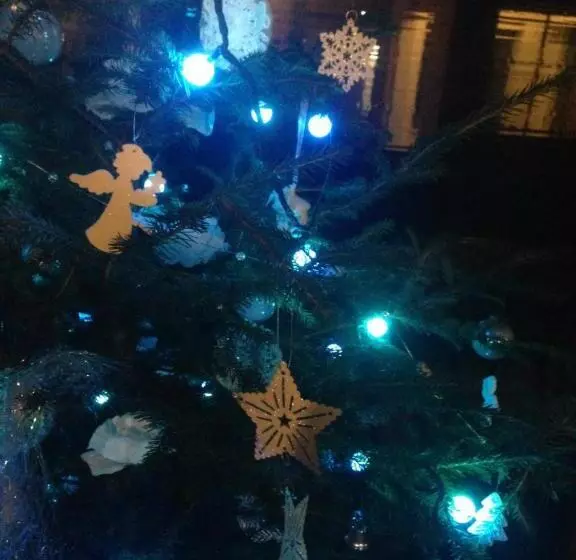 호텔 Garni Enrosadira