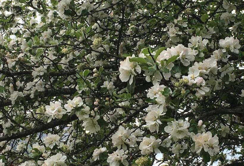 בית מלון כפרי Garni Enrosadira